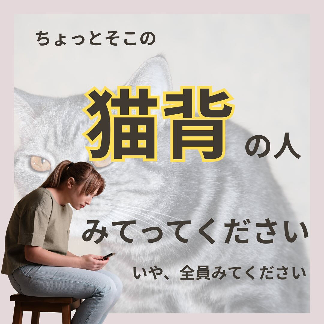 『猫背の恐怖😱』
