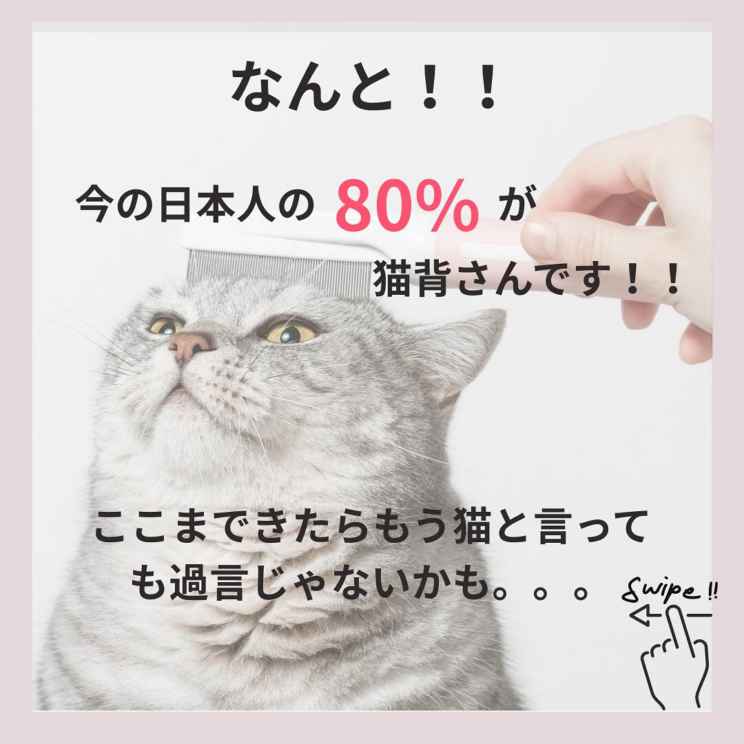『猫背の恐怖😱』