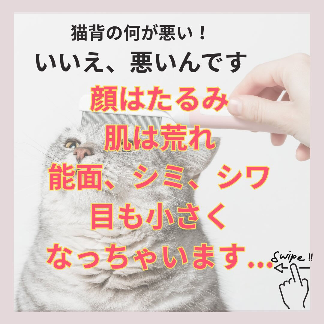 『猫背の恐怖😱』