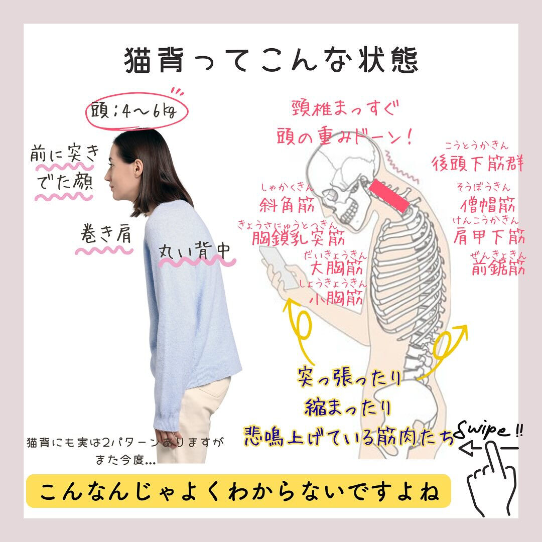 『猫背の恐怖😱』