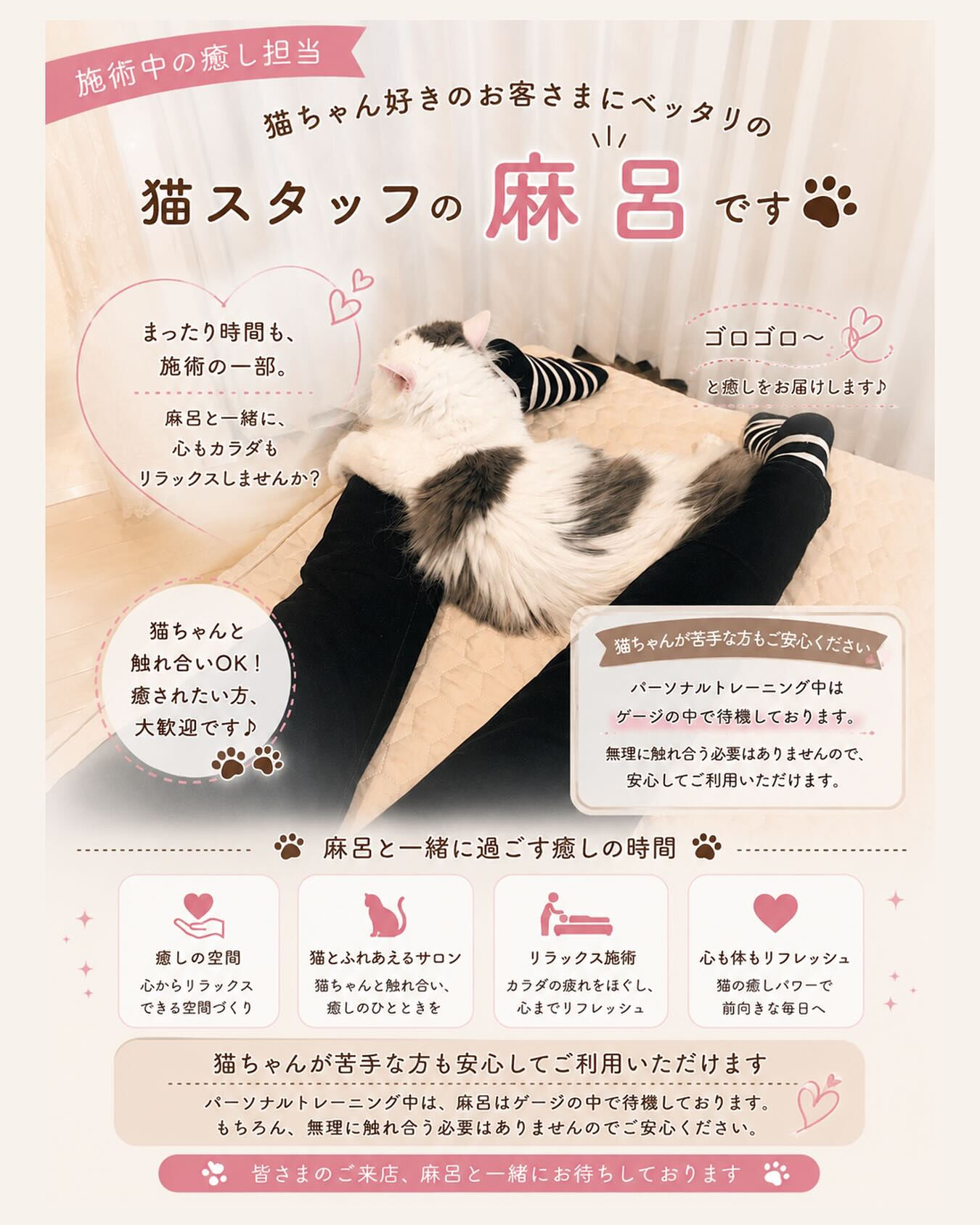 『施術中の癒し担当🐱🤍』