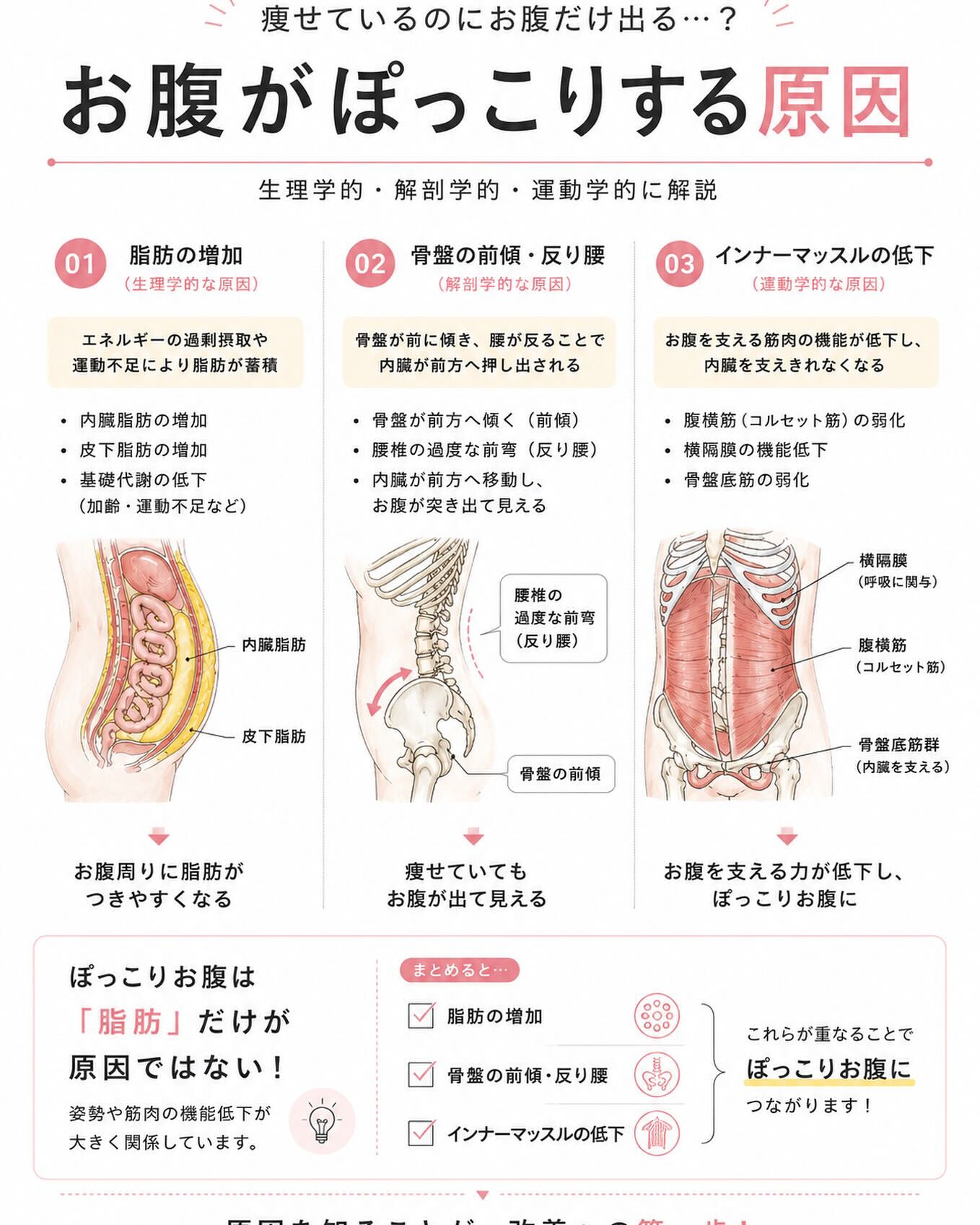 【お腹ぽっこり…その原因は脂肪だけじゃないかも？】